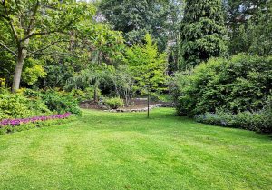 Optimiser l'expérience du jardin à Saint-Amant-de-Boixe